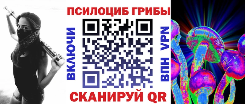Галлюциногенные грибы Psilocybine cubensis Калач-на-Дону